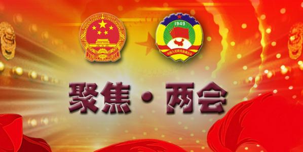 全国“两会”学习研讨发言个人心得材料整理