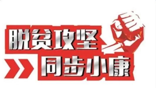 全面实现脱贫攻坚战略工作要点