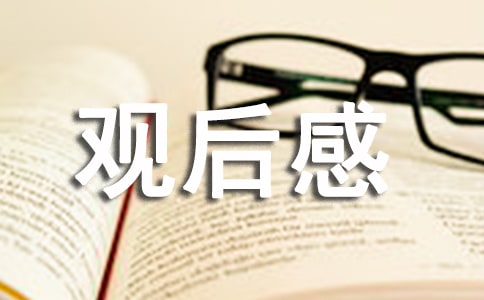 2021年党员干部抗洪救灾先进事迹观后感范文