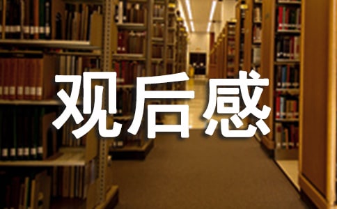 党的百年奋斗重大成就和历史经验的决议观后感