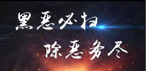 重点领域重点行业扫黑除恶专项斗争乱点乱源整治工作阶段性工作总结