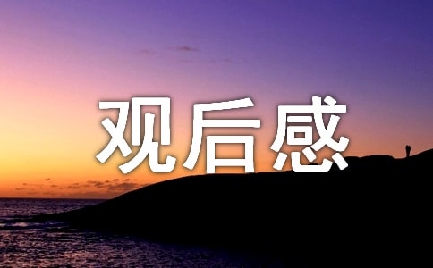 反腐倡廉专题片《零容忍》观后感500字范文