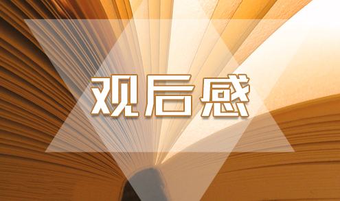 2022《共青团公开课之“团的光辉历史”》观后感