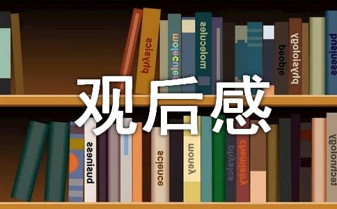 2022生命重于泰山安全生产专题片观后感简短