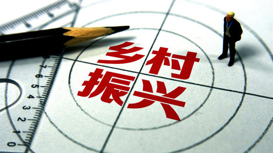 在实施乡村振兴战略专项巡察工作动员会上的讲话提纲