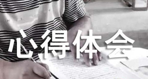 2022扣好廉洁从政第一粒扣子心得体会